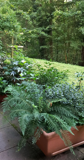  - 2024 - 03 - Toamna