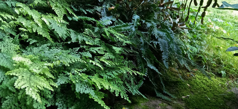  - 2024 - 03 - Toamna