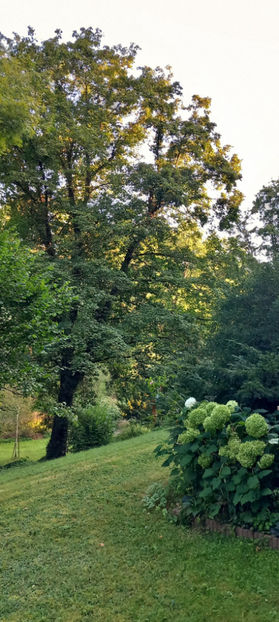  - 2024 - 03 - Toamna