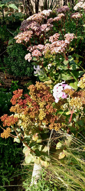  - 2024 - 03 - Toamna