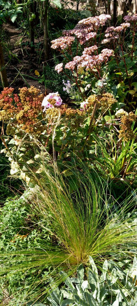  - 2024 - 03 - Toamna