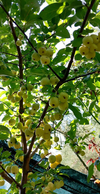  - 2024 - 03 - Toamna