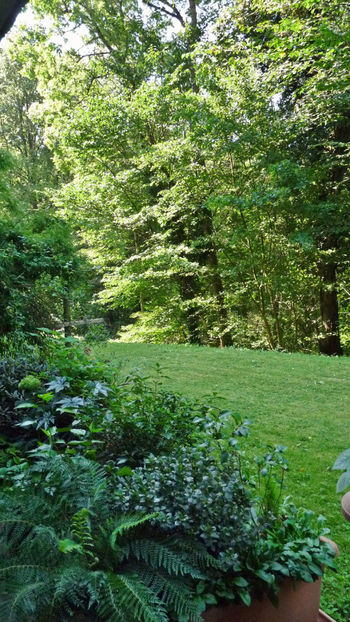  - 2024 - 03 - Toamna