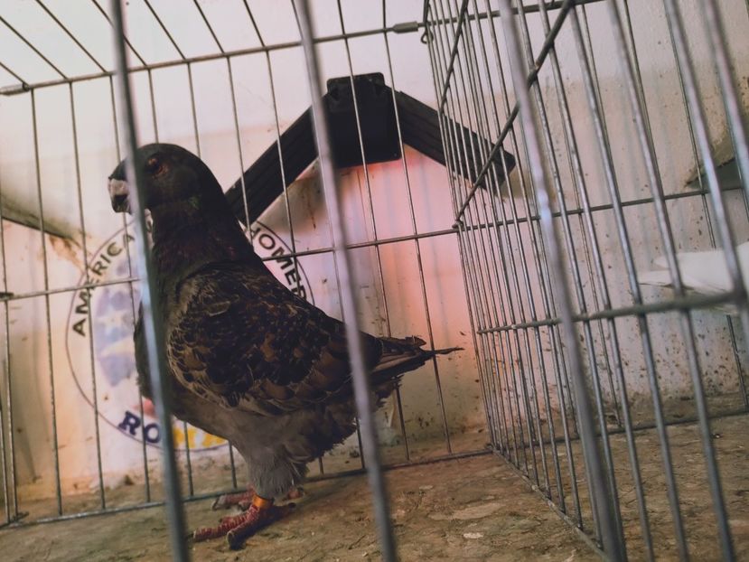 M 2021 - PENTRU 2025 !