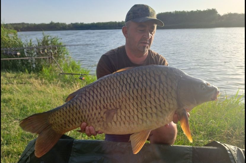 Oroshaza iunie 2024 - Capturi-pesti