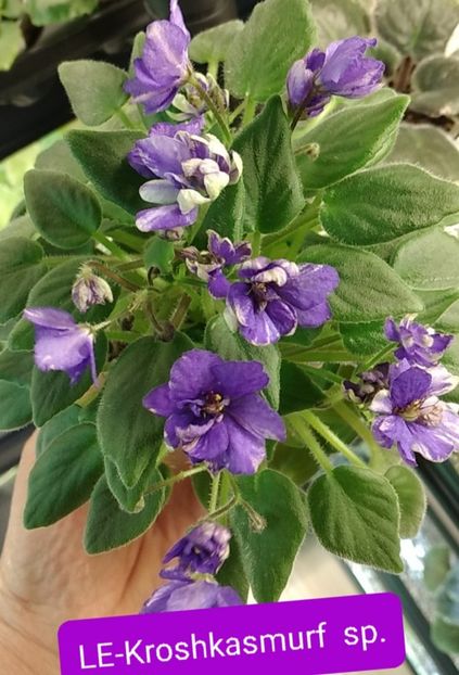 c982c390-80fd-469e-99a4-e9541747e7acphoto - 2024