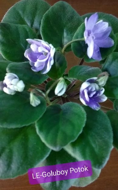 ea816b8a-5b7c-4960-8d19-d1f44826be90photo - 2024