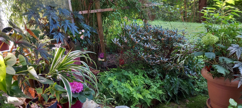  - 2024 - 03 - Toamna