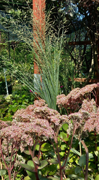  - 2024 - 03 - Toamna