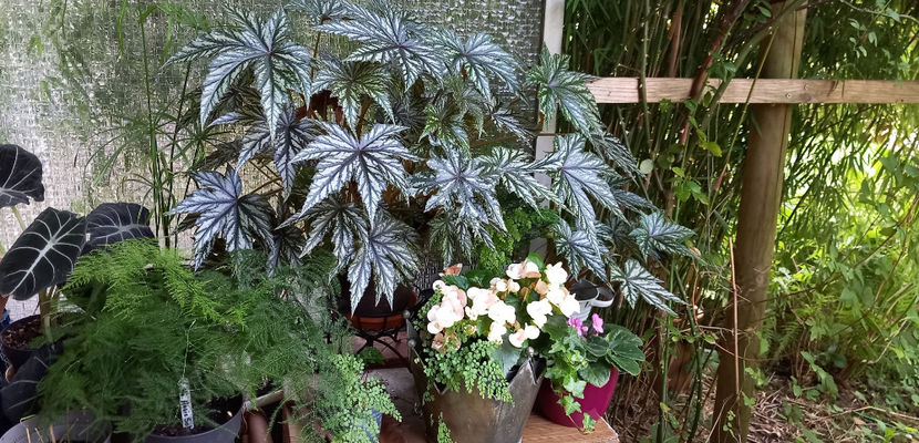  - 2024 - 03 - Toamna