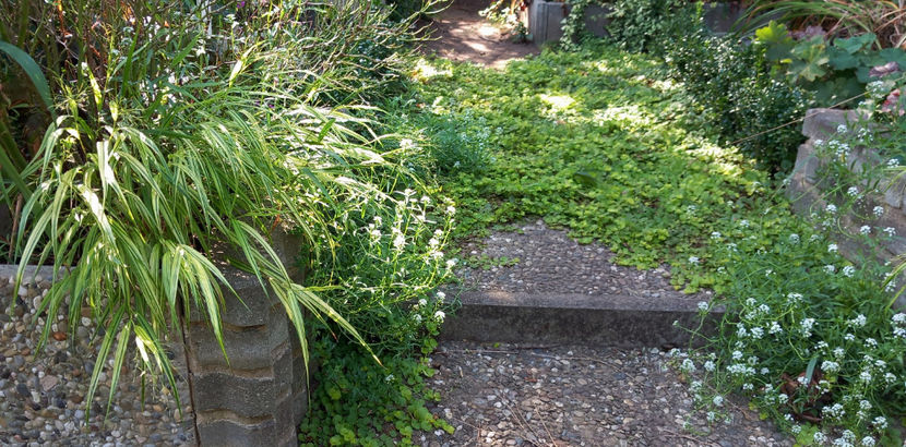  - 2024 - 03 - Toamna