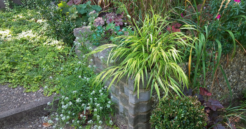  - 2024 - 03 - Toamna