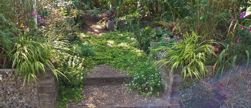  - 2024 - 03 - Toamna