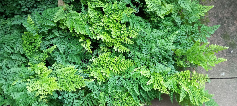  - 2024 - 03 - Toamna