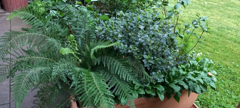  - 2024 - 03 - Toamna