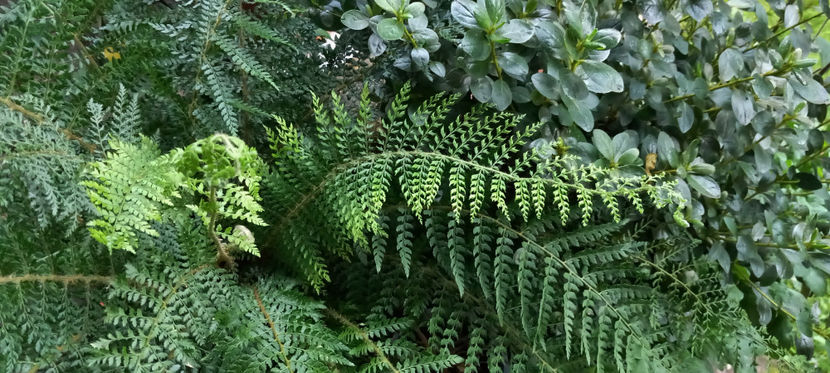  - 2024 - 03 - Toamna