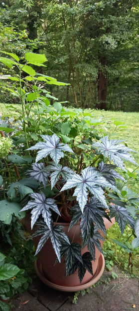  - 2024 - 03 - Toamna