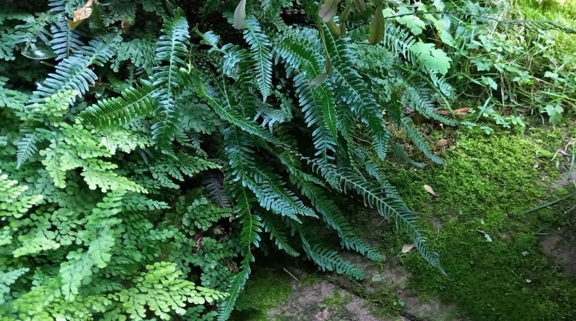  - 2024 - 03 - Toamna