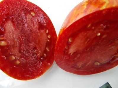  - SEMINTE ROSII - T 921 BELLA