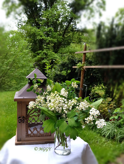 © - 01 - Floristica