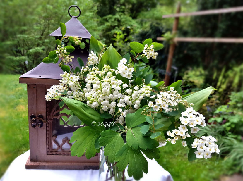 © - 2023 - 01 - Floristica