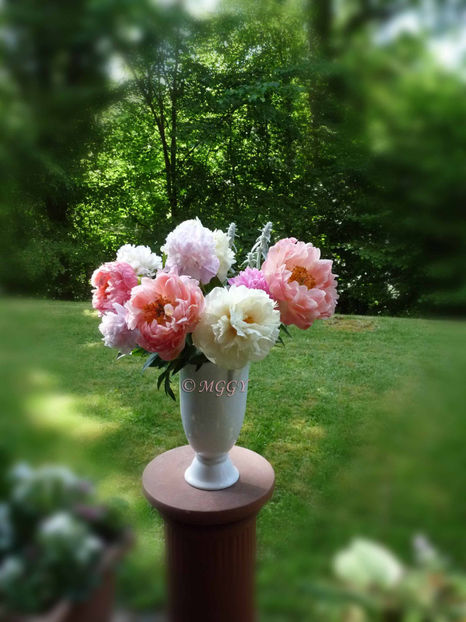 © - 01 - Floristica