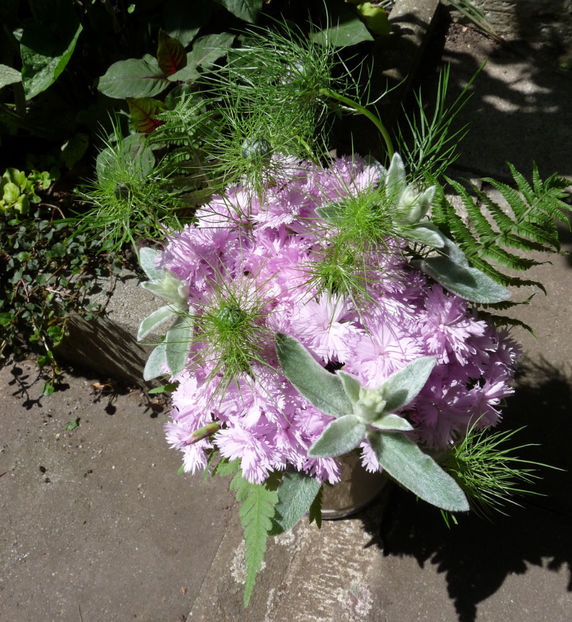 © - 01 - Floristica