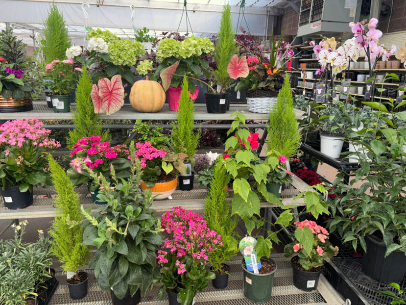  - Calgary Greengate Garden Centres 2024