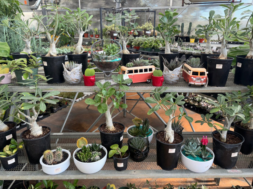  - Calgary Greengate Garden Centres 2024