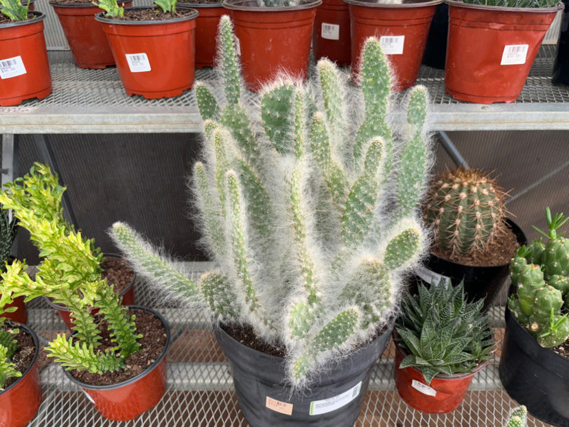  - Calgary Greengate Garden Centres 2024