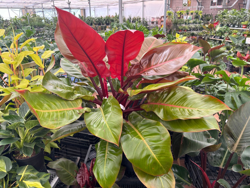  - Calgary Greengate Garden Centres 2024