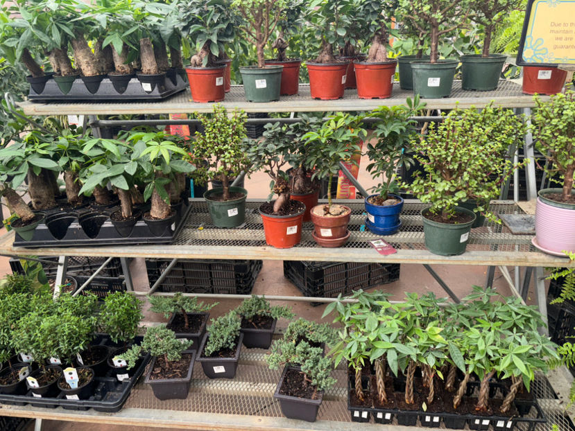  - Calgary Greengate Garden Centres 2024