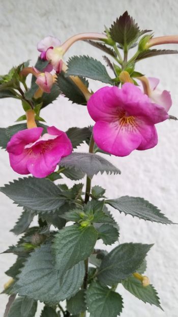  - 2024-BriD s SARAH GRITZAN