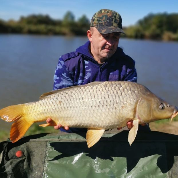 Zabrani octombrie 2024 - Capturi-pesti