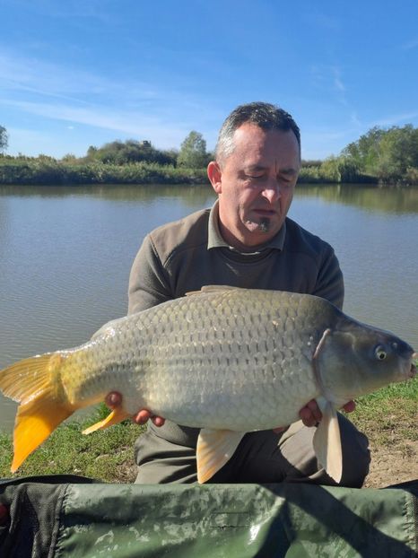 Zabrani octombrie 2024 - Capturi-pesti