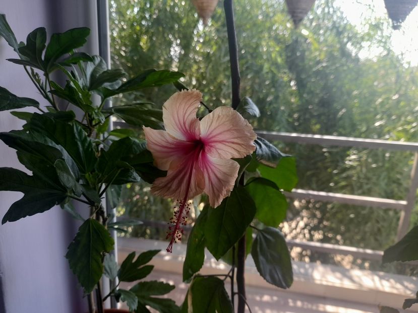  - 1 2024 Din nou cu natura impreuna !