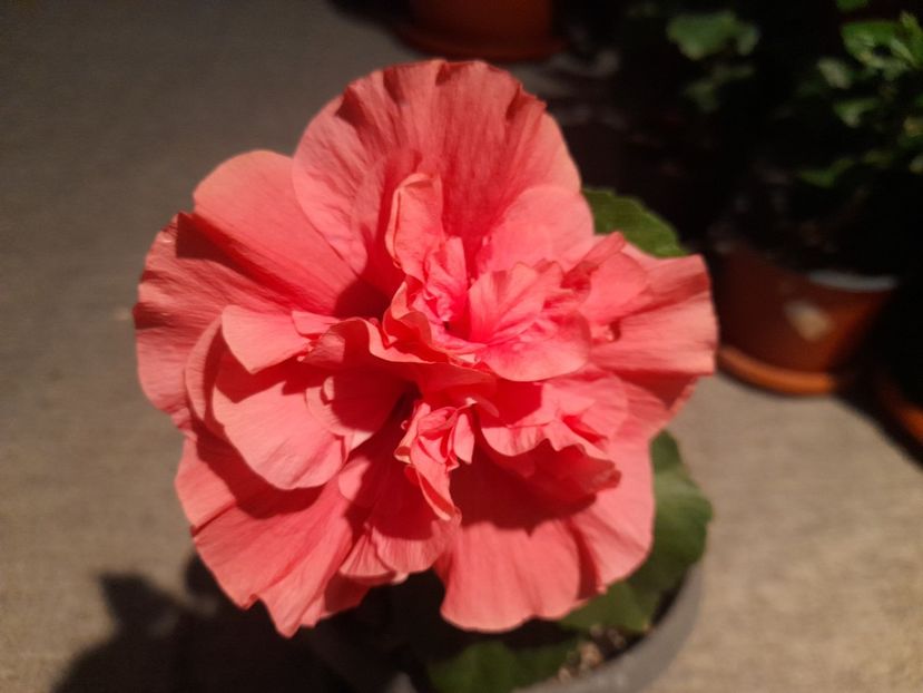  - 1 2024 Din nou cu natura impreuna !