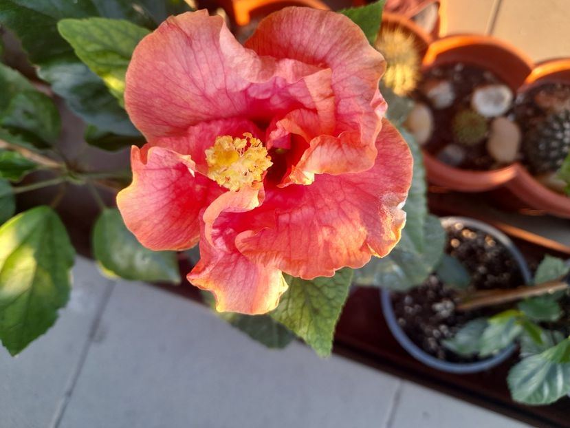  - 1 2024 Din nou cu natura impreuna !