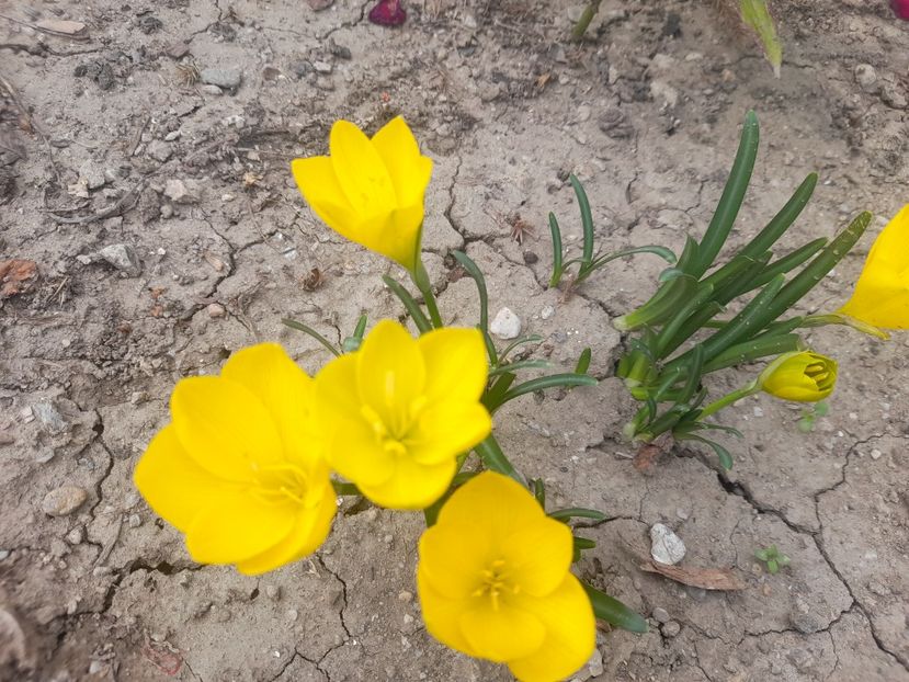  - 1 2024 Din nou cu natura impreuna !