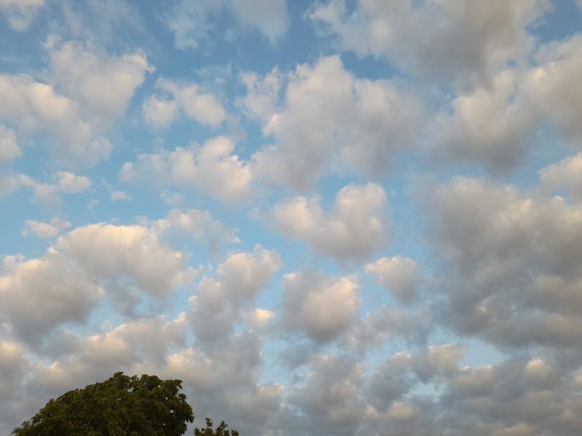  - 1 2024 Din nou cu natura impreuna !