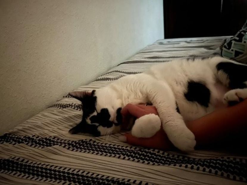  - Show me what is real