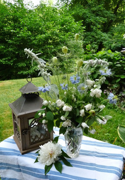 © - 01 - Floristica