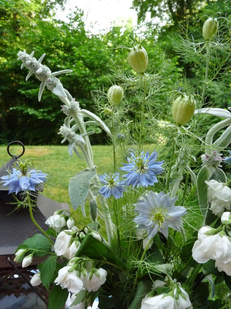 © - 01 - Floristica