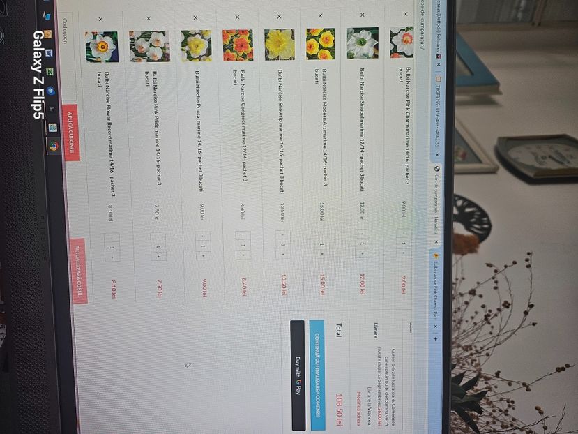 fe10f155-4c42-41a0-b17a-88ba1bf07309-1_all_64873 - Narcise 2018 24 25