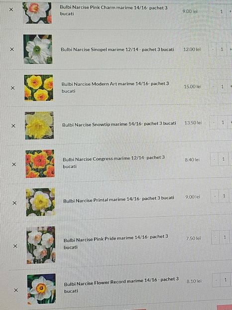  - Narcise 2018 24 25