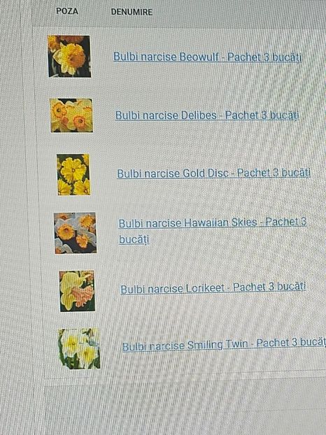  - Narcise 2018 24 25