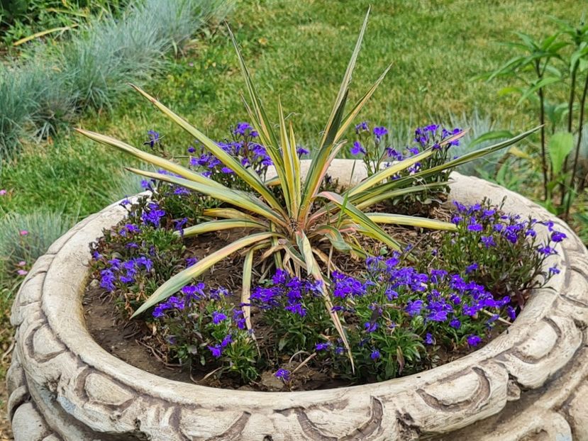 c92fbeed-fc54-460d-a30d-9c9a1469956f-1_all_2716 - 2024_Vara_Toamna