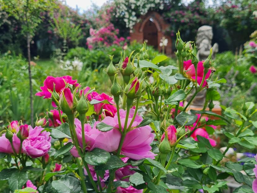 c92fbeed-fc54-460d-a30d-9c9a1469956f-1_all_2699 - 2024_Vara_Toamna