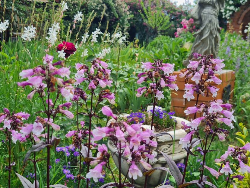 c92fbeed-fc54-460d-a30d-9c9a1469956f-1_all_2697 - 2024_Vara_Toamna