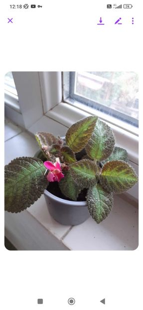 Screenshot_2024-09-03-12-18-55-613_com.facebook.orca - Episcii